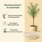 Handmade Eco-Friendly Banneton Proofing Basket & Sourdough Starter Kit