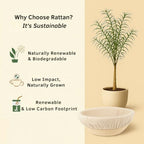 Handmade Eco-Friendly Banneton Proofing Basket & Sourdough Starter Kit
